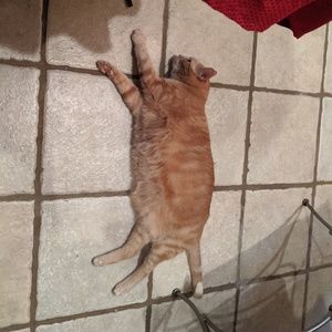 Meet your Posher, Natalie